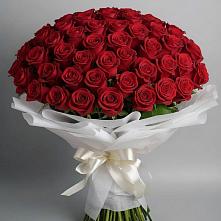 Букет 101 Красная роза Блэк Мэджик в Макушино