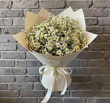 Букет цветов из:  Ромашки в Макушино