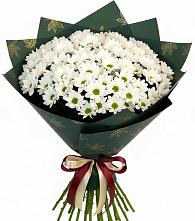 Букет цветов из:  Хризантемы #REPLACE_PRED# Макушино