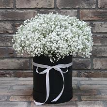 Цветочная композиция из Гипсофила в шляпной коробке в Макушино